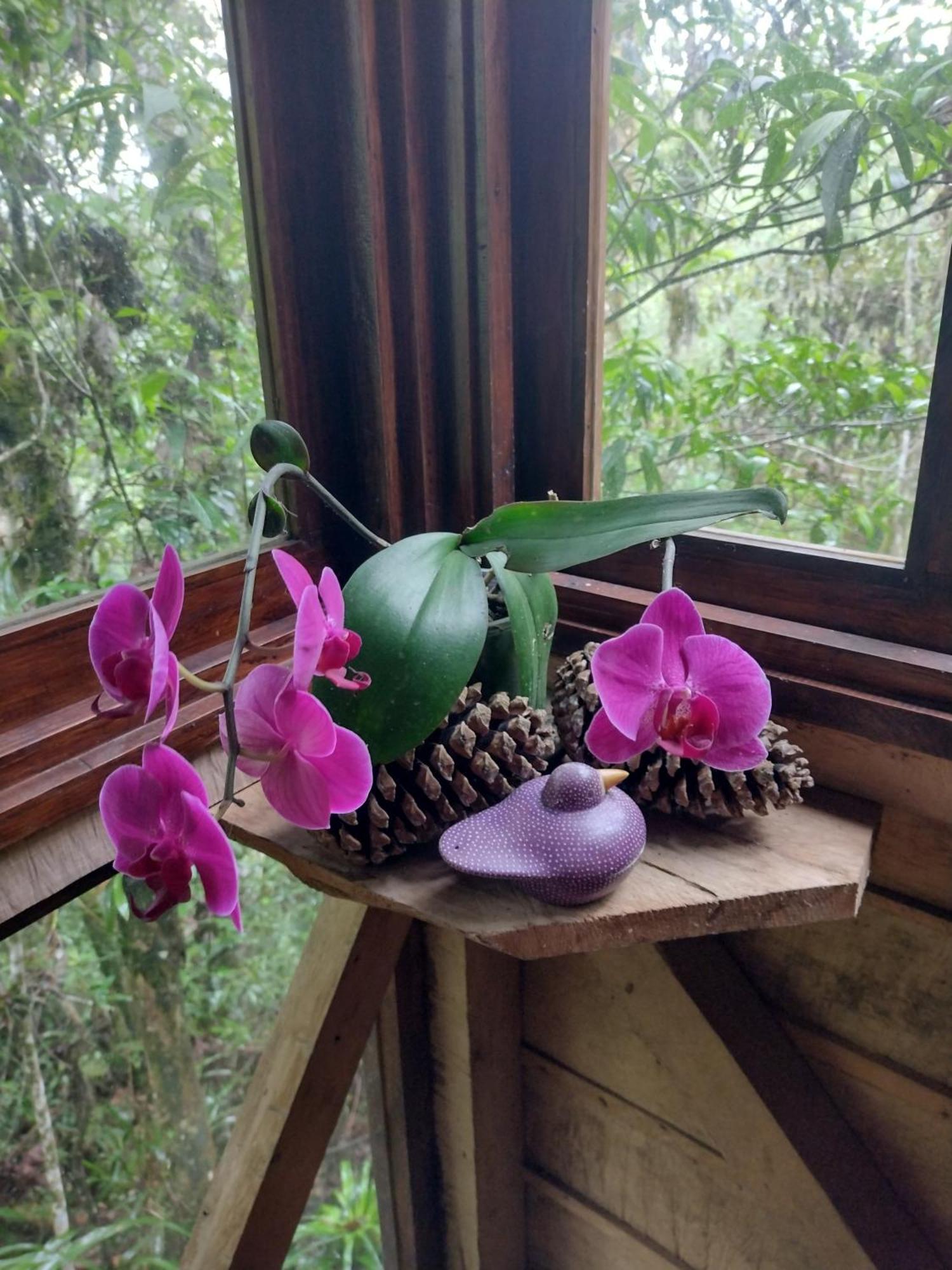 Paraiso Verde Chijou Екстер'єр фото