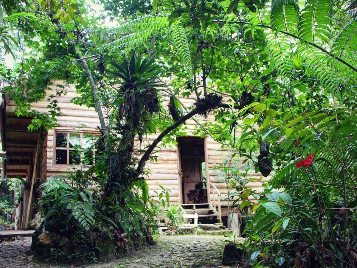 Paraiso Verde Chijou Екстер'єр фото